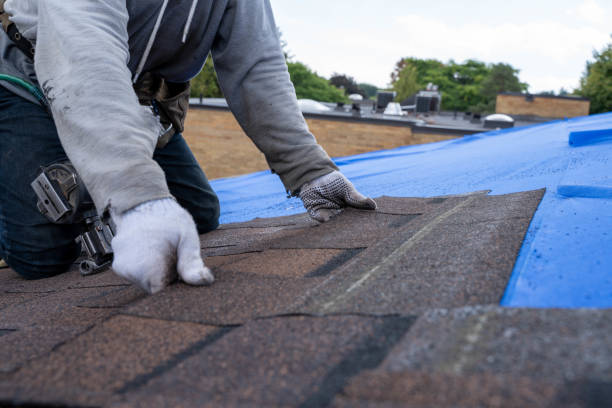 Roof Gutter Cleaning in Verona, WI